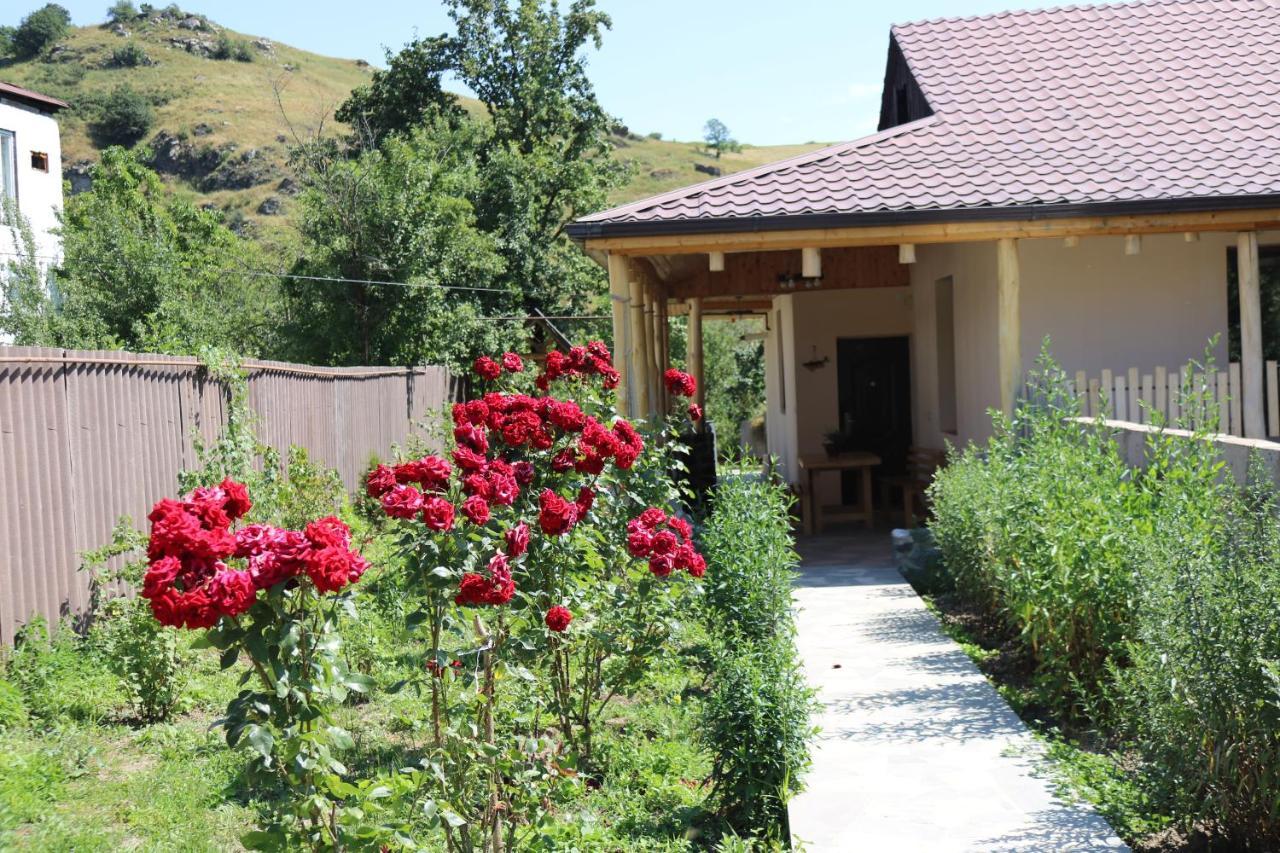 Villa Shamakhyan Dilidjan Extérieur photo